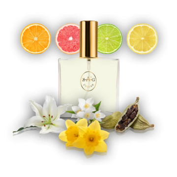 VERSENSE  by VERSACE ihlette parfüm 50ml