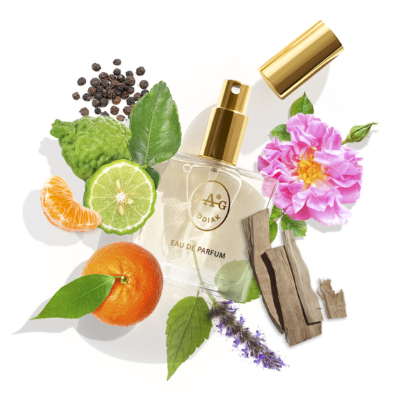 LACOSTE ESSENTIAL ihlette parfüm 50ml
