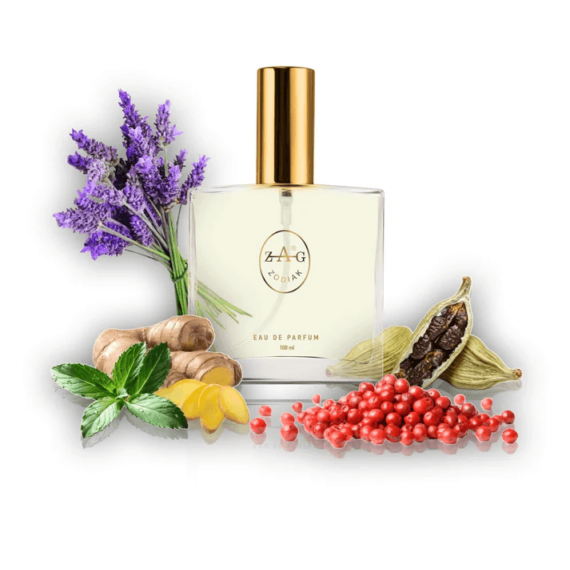 DUPONT PASSANGER ihlette parfüm 50ml