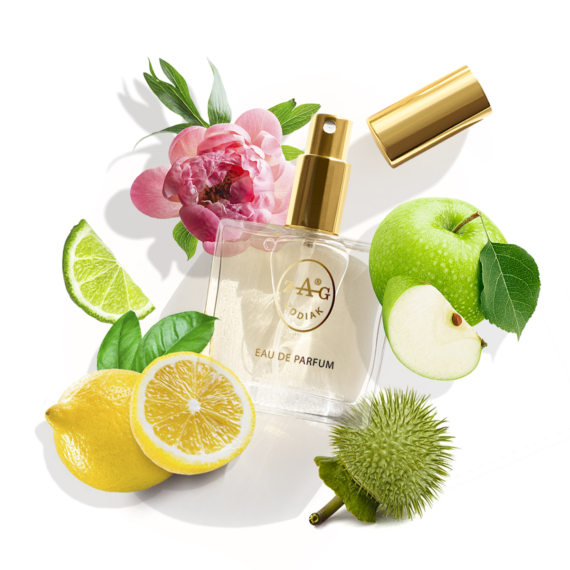 NINA RICCI NINA ihlette parfüm 50ml