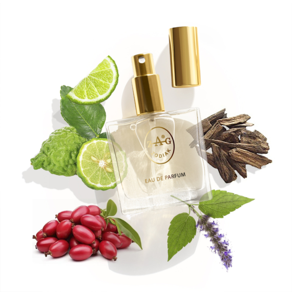 HERMES BARENIA ihlette parfüm 50ml