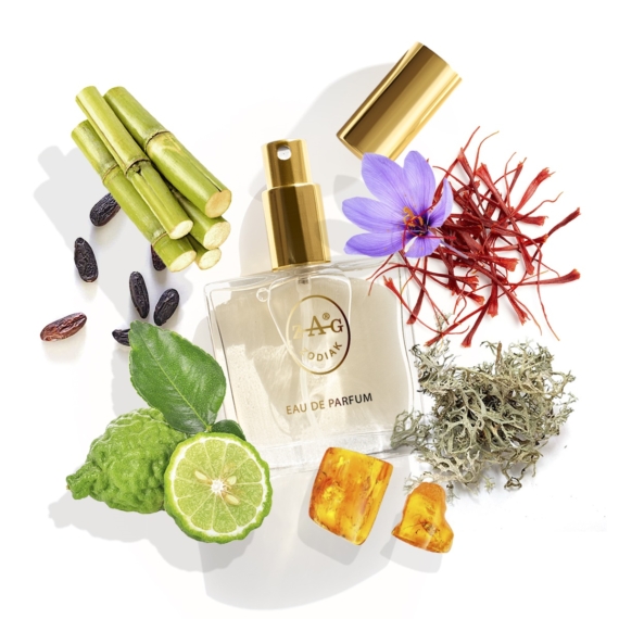 MONTALE ARABIANS TONKA ihlette parfüm 50 ml