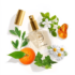 Kép 1/2 - GUERLAIN AQUA ALLEGORIA - MANDARIN BASILIC ihlette parfüm 50ml